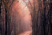 西甲-拉菲尼亚破门莱万建功 巴萨2-2塞尔塔.