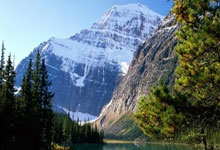 九游:RMC:格林伍德提前两天回马赛训练,用实际行动打动德泽尔比.