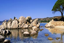 九游:俄超男排联赛别尔哥罗德队晋级四强 张景胤得到全场最高分.